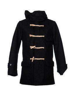 Esemplare Coats