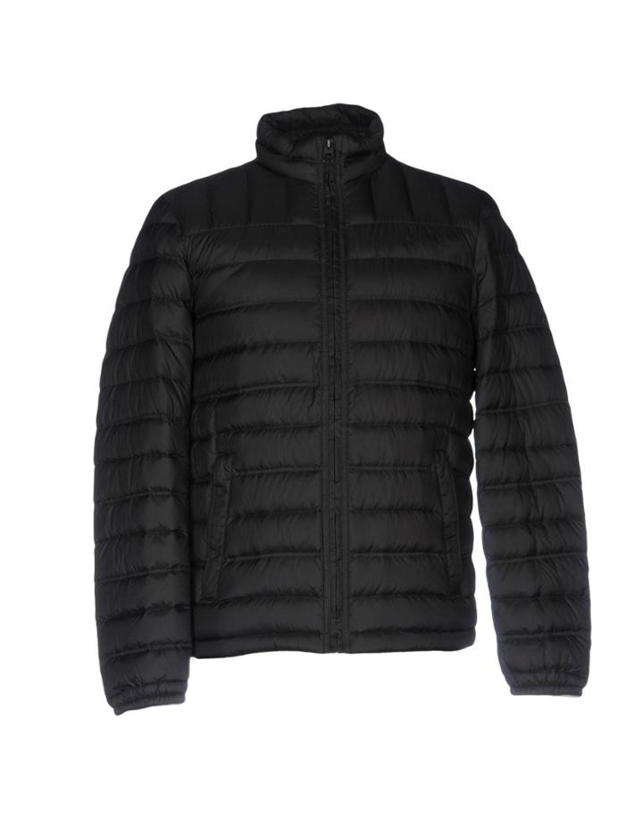 Dockers Down Jackets
