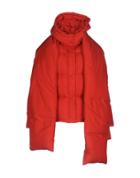 Weili Zheng Down Jackets