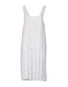 Vanessa Scott Short Dresses