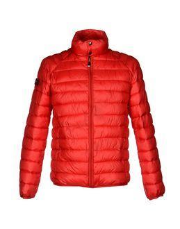 Dama Jackets