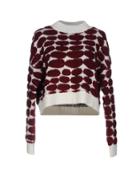 Comeforbreakfast Sweaters