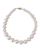 Liviana Conti Necklaces