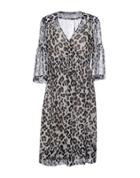 Ffc Knee-length Dresses