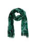 Dolce & Gabbana Scarves