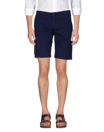 Holy Sacred Bermudas