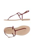Arc Toe Strap Sandals