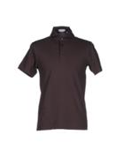 Callisto Campora Polo Shirts