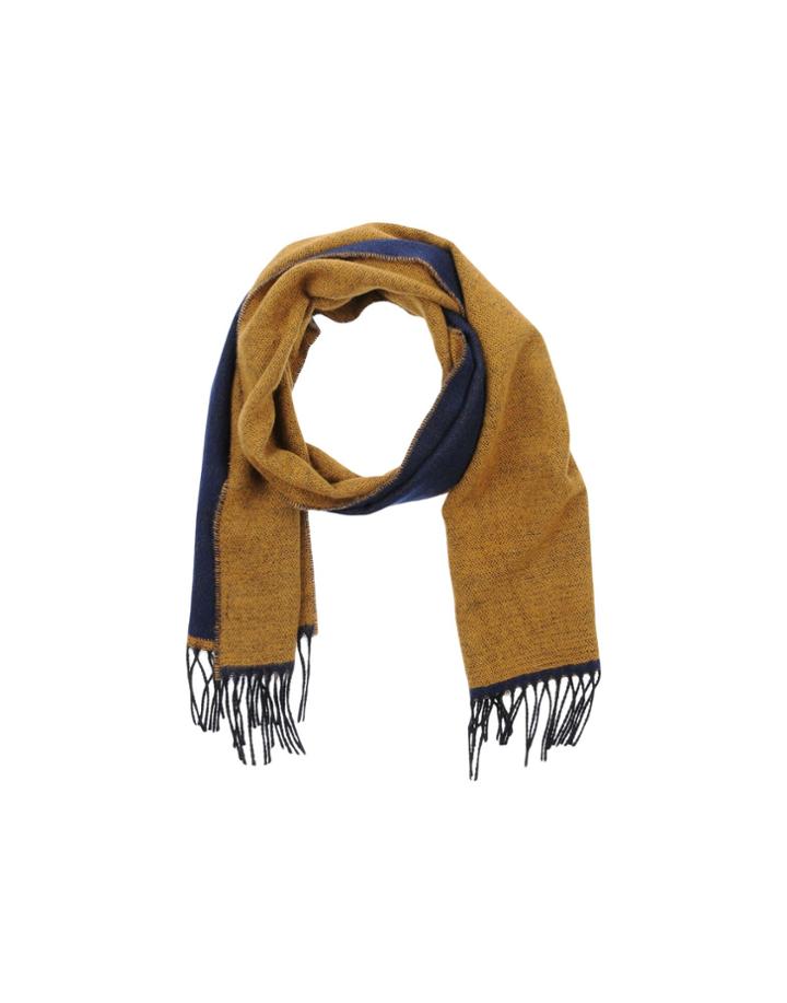 Gisbi Trendy Oblong Scarves