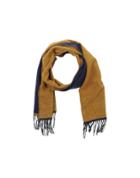 Gisbi Trendy Oblong Scarves