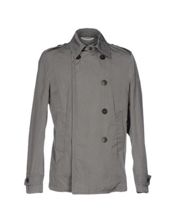 Denny Rose For Corona Star's Jackets