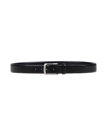 Exibit Belts