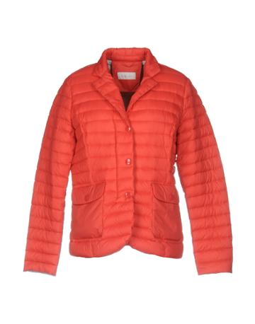 Golden Line Down Jackets