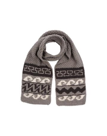 Conference Of Birds Oblong Scarves