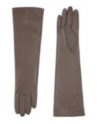 Liviana Conti Gloves