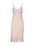 Cicuta Knee-length Dresses