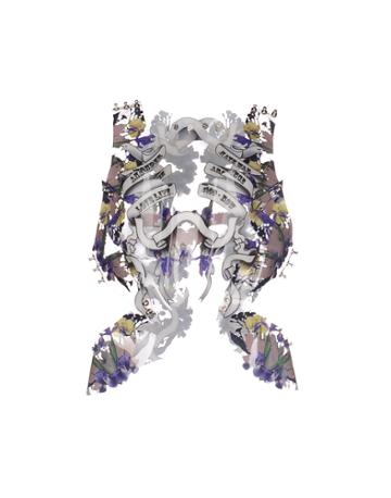 Wonder Anatomie Tops