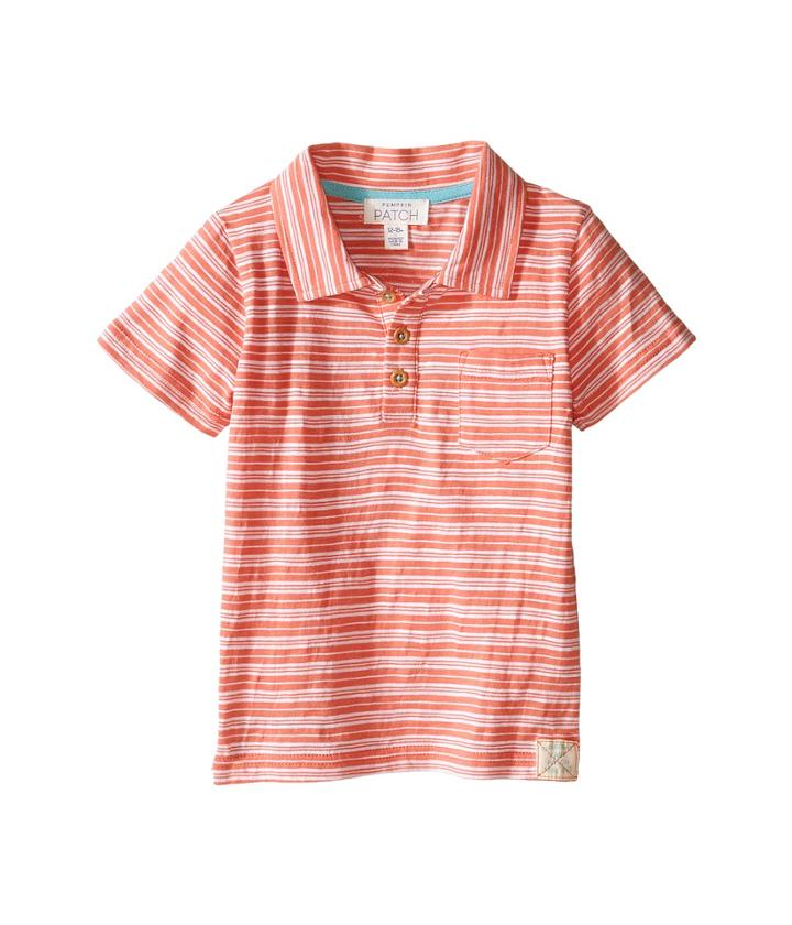 Pumpkin Patch Kids - Mini Stripe Polo