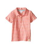 Pumpkin Patch Kids - Mini Stripe Polo