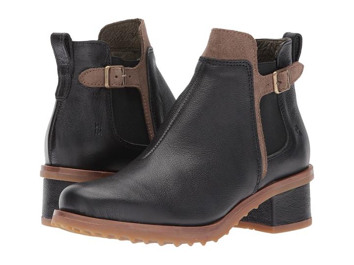 El Naturalista - Kentia N5104