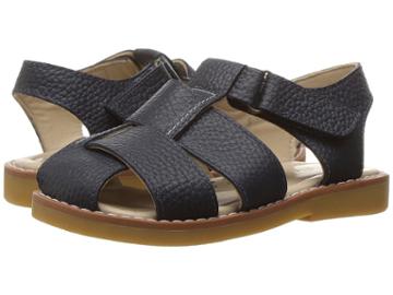 Elephantito - Anthony Sandal