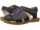 Elephantito - Anthony Sandal