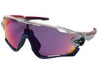 Oakley - Team Usa Jawbreaker