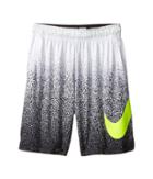 Nike Kids - Dry Training Short