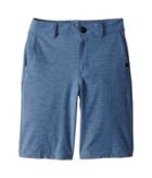 Quiksilver Kids - Union Heather Amphibian Shorts