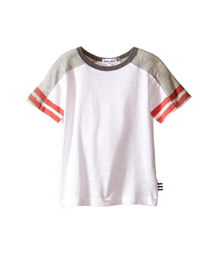 Splendid Littles - Short Sleeve Raglan Crew With Stripe Sleeves