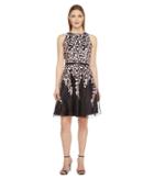 Tahari By Asl - Embroidered Mesh Fit And Flare Dress