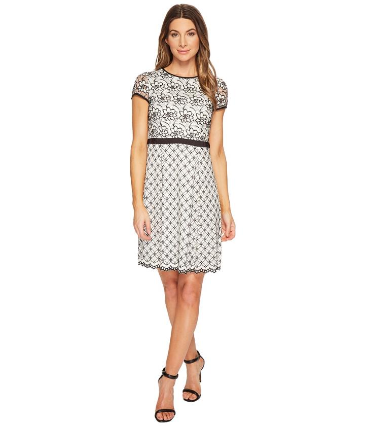 Adrianna Papell - Twin Lace Fit And Flare Dress