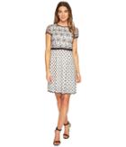 Adrianna Papell - Twin Lace Fit And Flare Dress