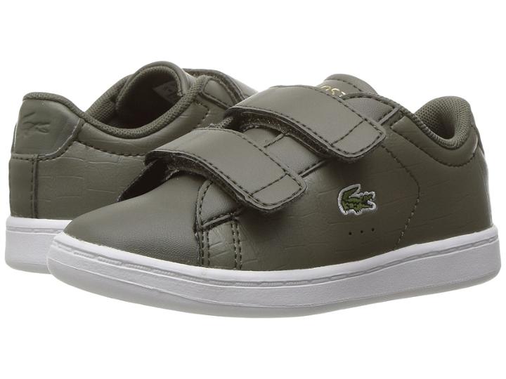 Lacoste Kids - Carnaby Evo G117 3 Spi