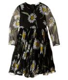 Dolce &amp; Gabbana - Margherite Chiffon Dress