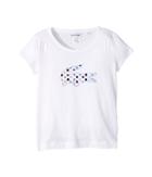 Lacoste Kids - Short Sleeve Polka Dot Croc Graphic T-shirt