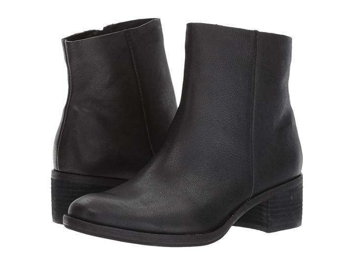 Kork-ease - Mayten