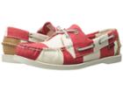 Sebago - Spinnaker