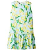 Oscar De La Renta Childrenswear - Painted Lemons Cotton Drop Waist Dress