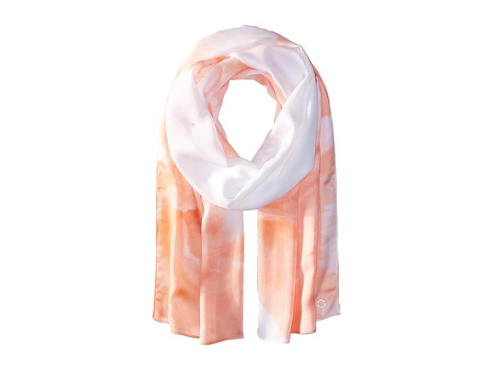 Calvin Klein - Shadow Stripe Floral Chiffon