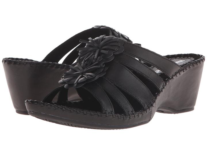 Hush Puppies - Gallia Copacabana