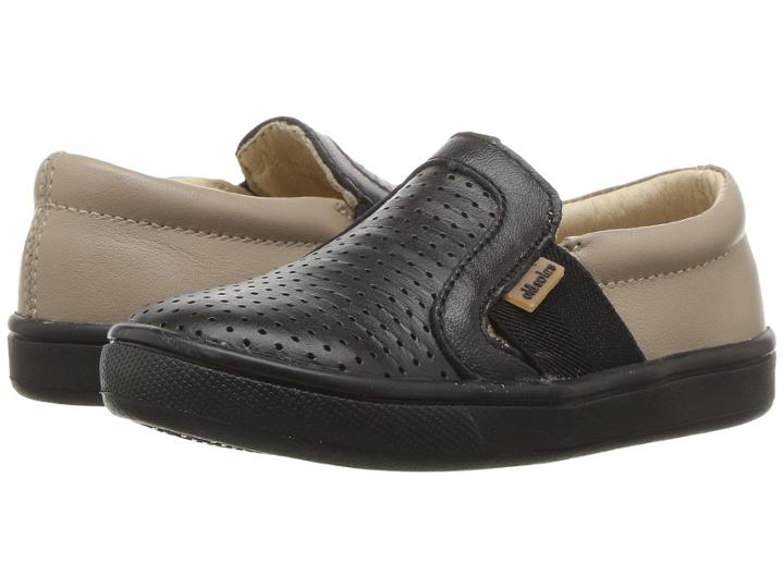 Old Soles - Hoffing Shoe