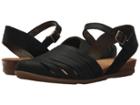 El Naturalista - Stella N5201