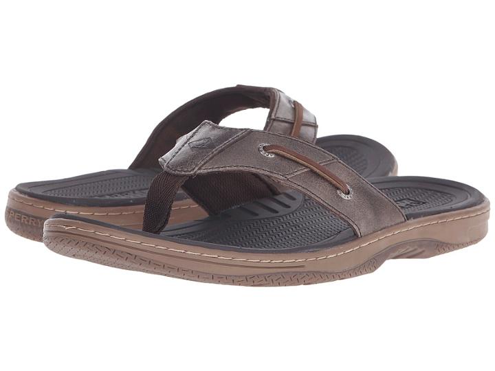 Sperry - Baitfish Thong