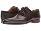 Magnanni - Acadia