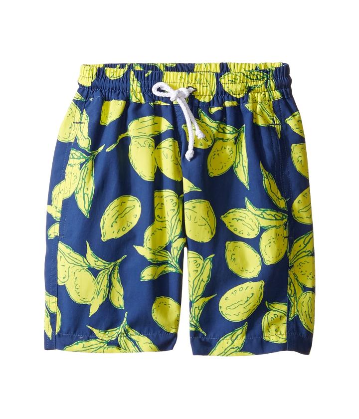 Oscar De La Renta Childrenswear - Painted Lemons Classic Swim Shorts