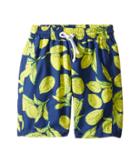 Oscar De La Renta Childrenswear - Painted Lemons Classic Swim Shorts