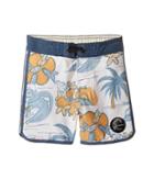 O'neill Kids - Hyperfreak Nick Simich Boardshorts