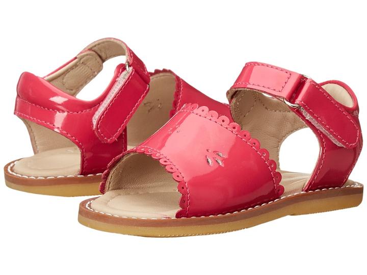 Elephantito - Classic Sandal W/scallop