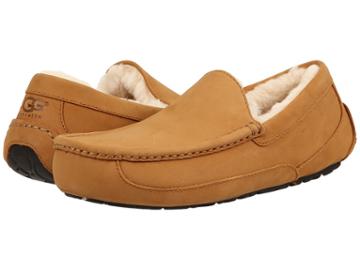 Ugg - Ascot Wheat
